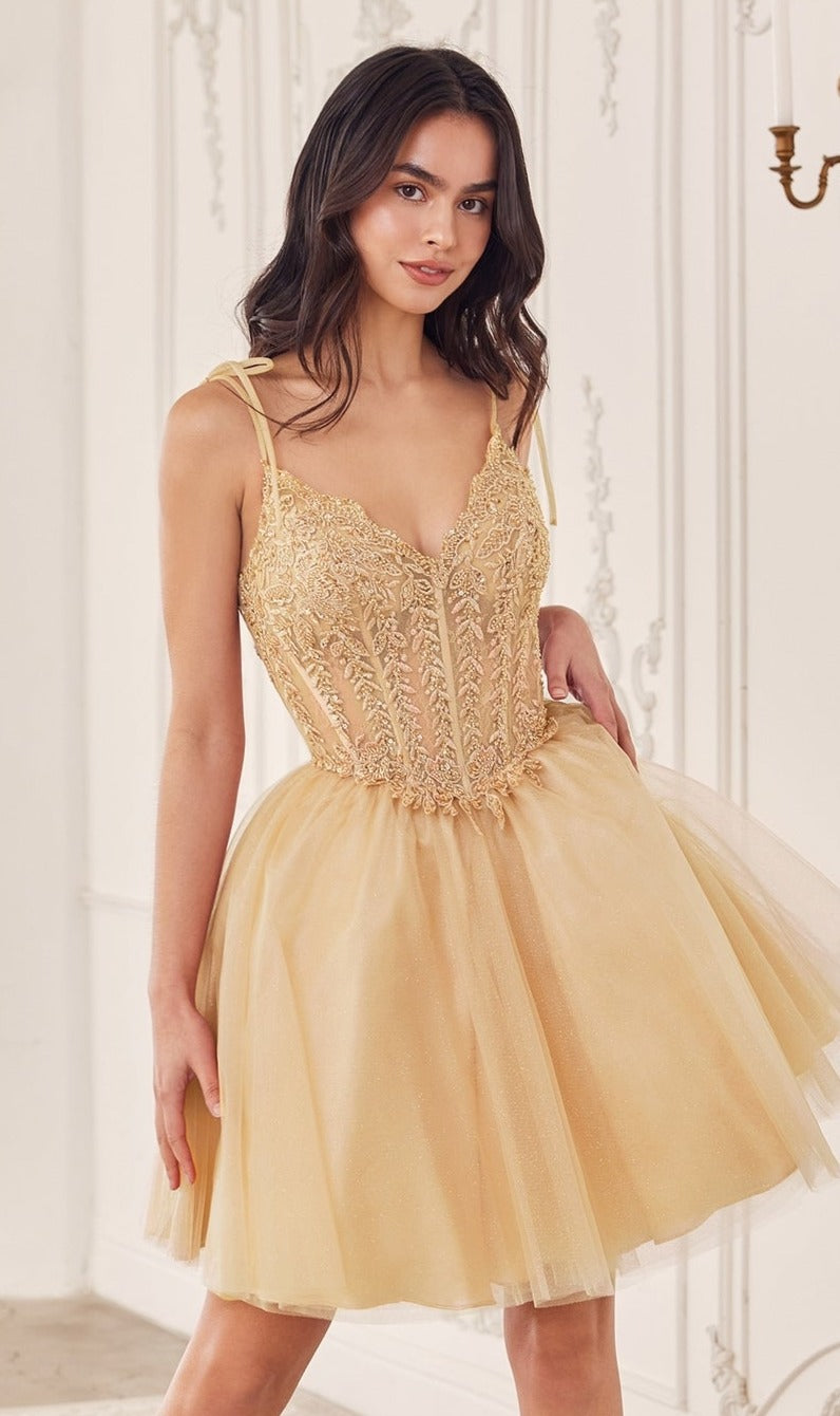 A woman wears the Ladivine Embroidered Lace Homecoming Dress CD0236, a short, sleeveless dress with embroidered lace and gold tulle, while standing indoors against an ornate white wall.